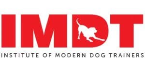 idm-300x150